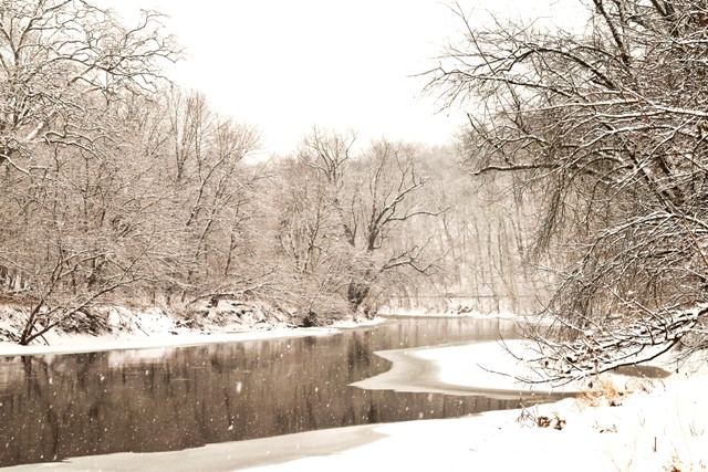 Snow Falls in Lancaster County Park (PA)